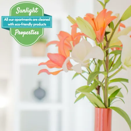 Sunlight Properties - 